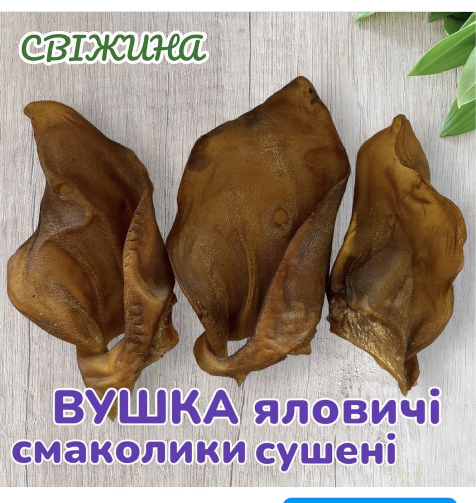 Вухо яловиче сушене - смаколик для собак (виробник: СВІЖИНА)