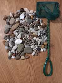 Декоративні каміння та сачок для акваріума
