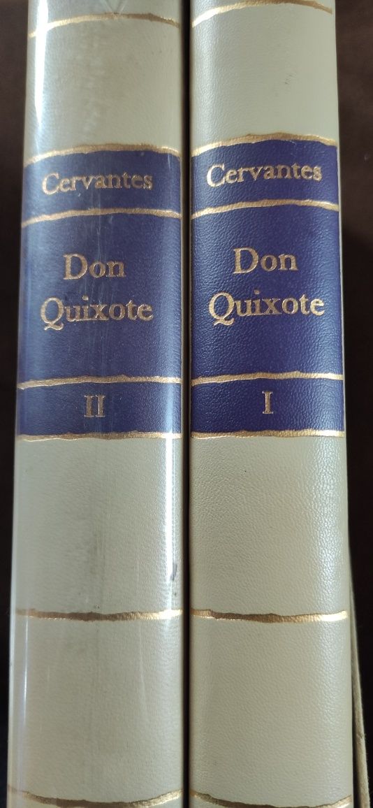 Don Kichot dwa tomy język niemiecki