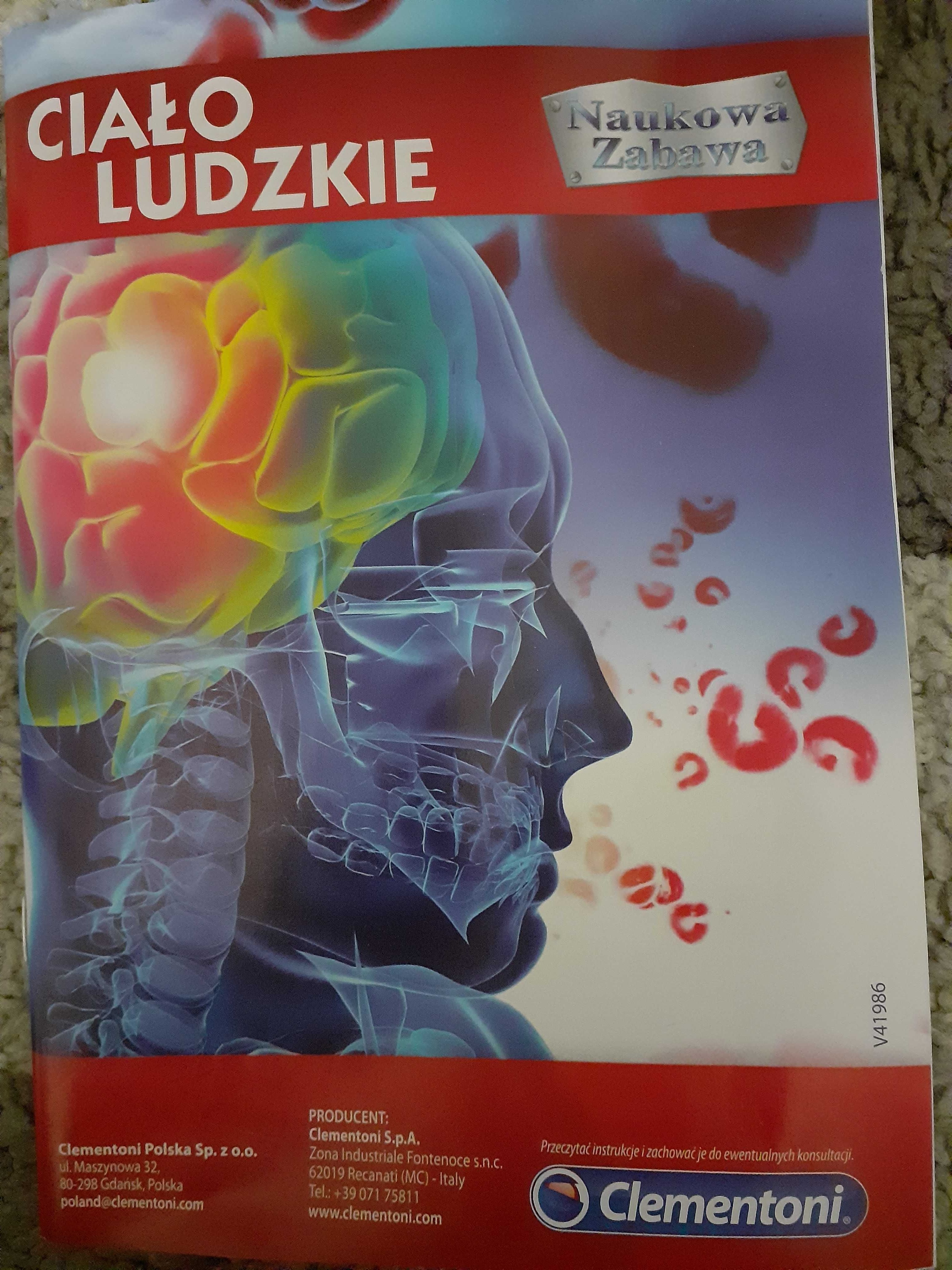Zestaw do składania ciało ludzkie