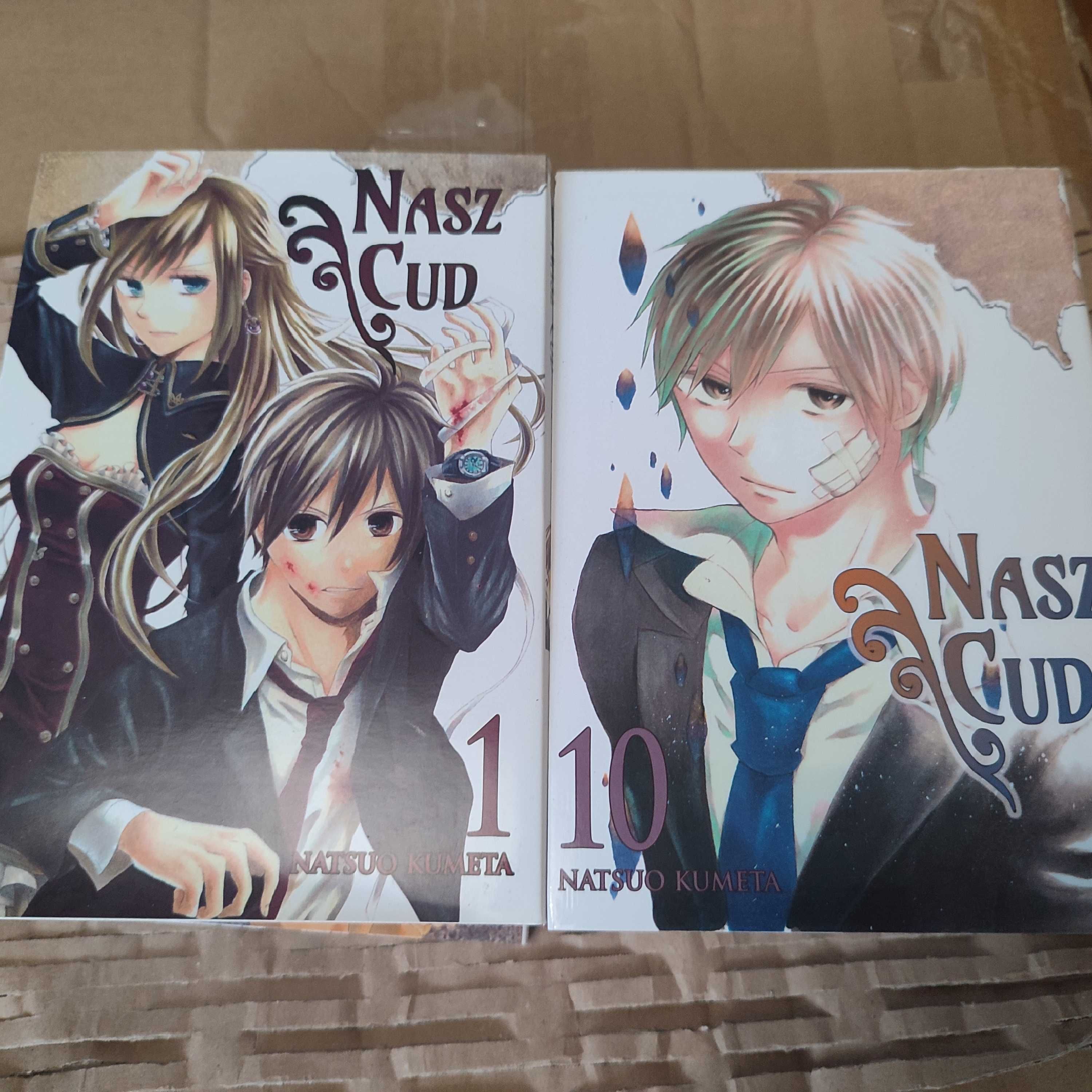 Manga Nasz Cud PL tomy 1-10