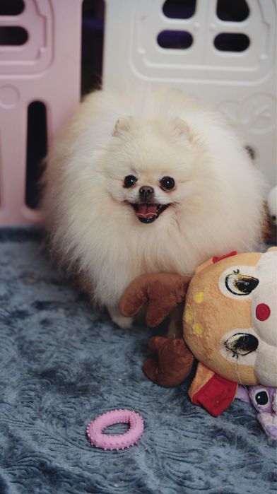 Piękna dziewczynka ra