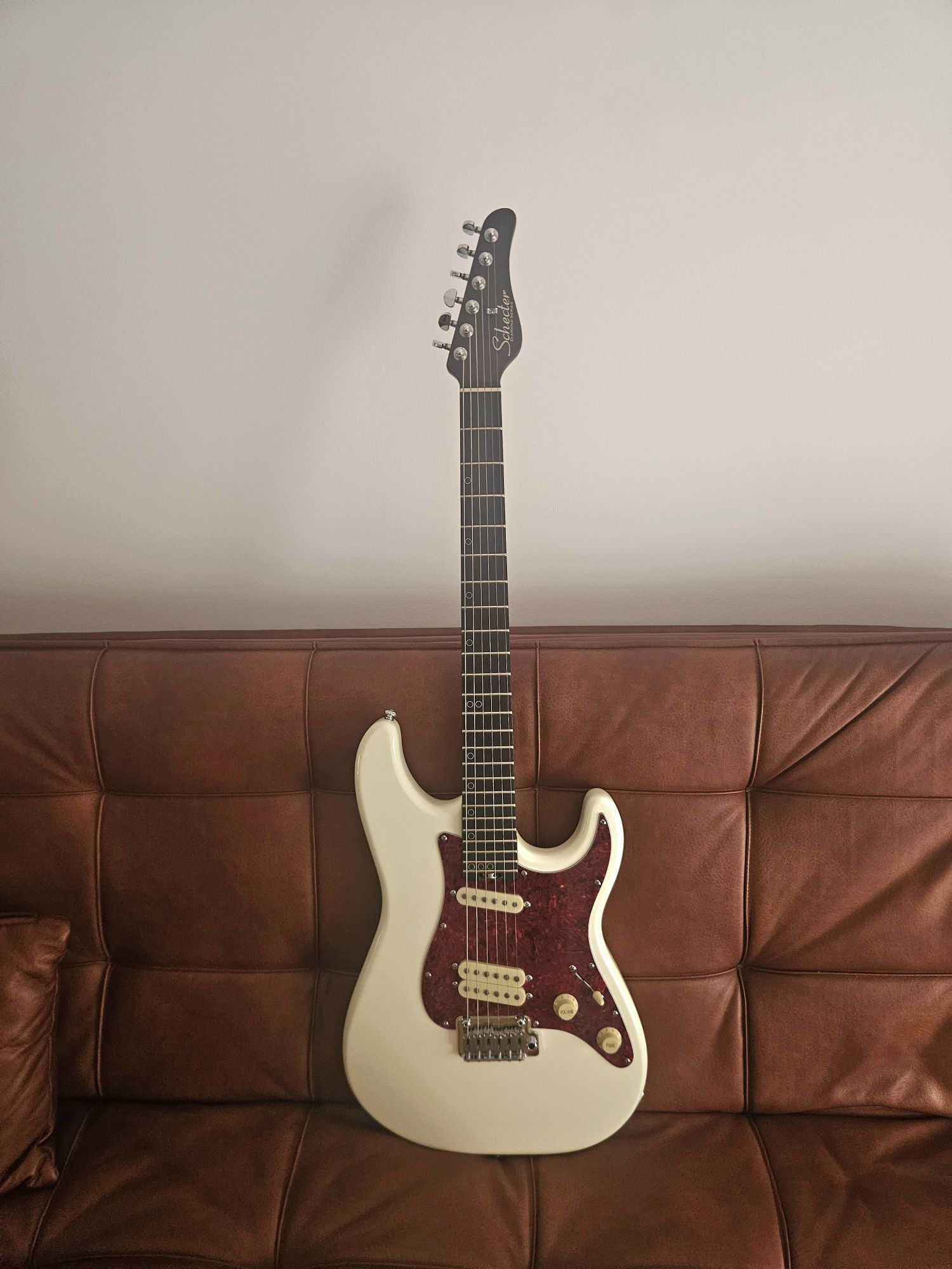 Schecter MV-6, Olympic White