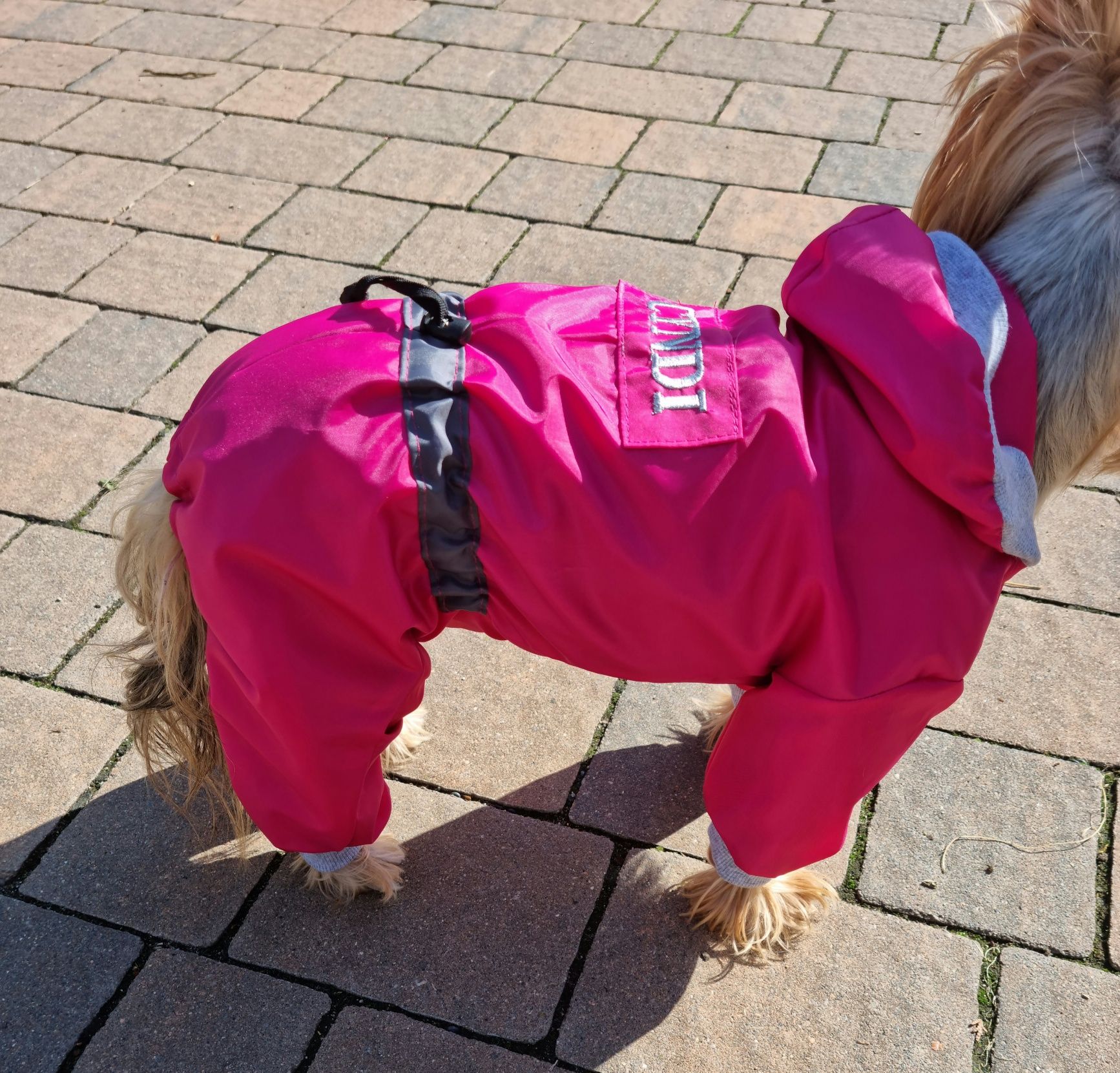 kombinezon nieprzemakalny,jesienny dla york,shihtzu ,jamnik na miare