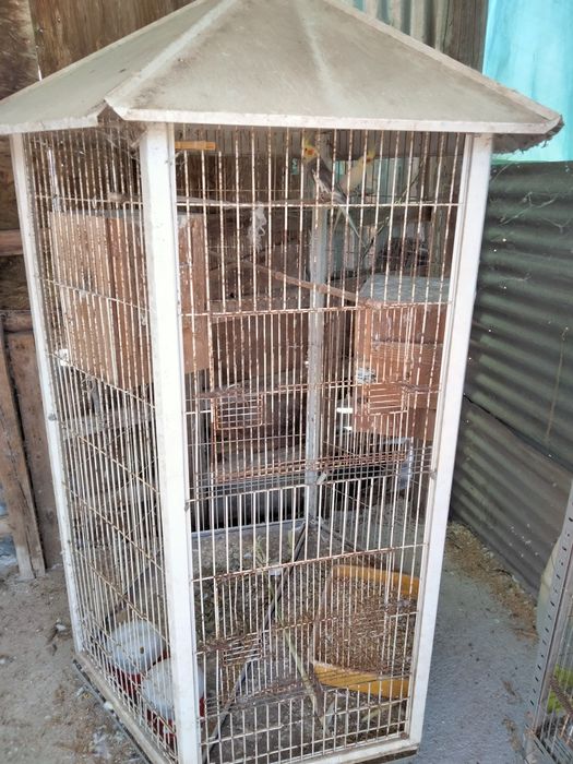 Viveiro para aves com rodas