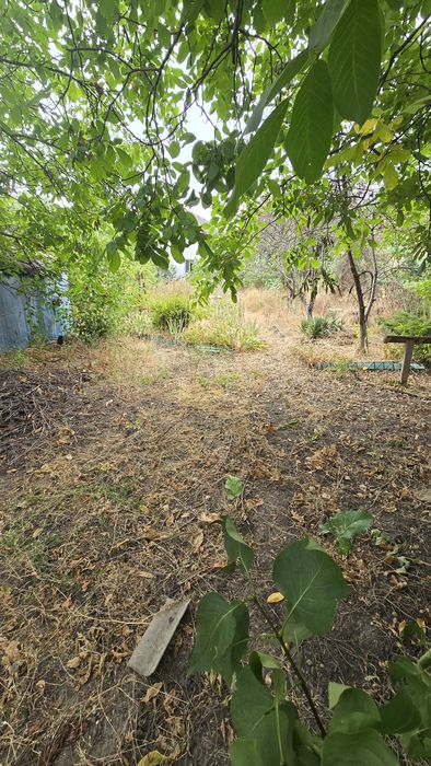 Алтестово  Участок 4 сотки с кадастровым / Возможна продажа соседнего