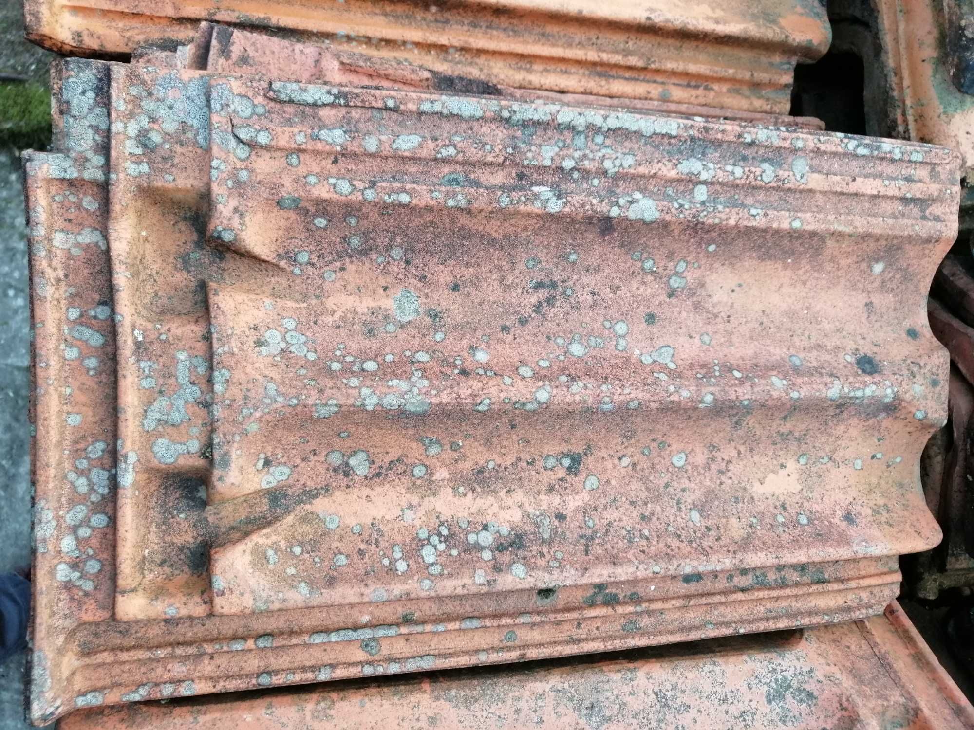 Telhas Marselha Diversos Fabricantes
