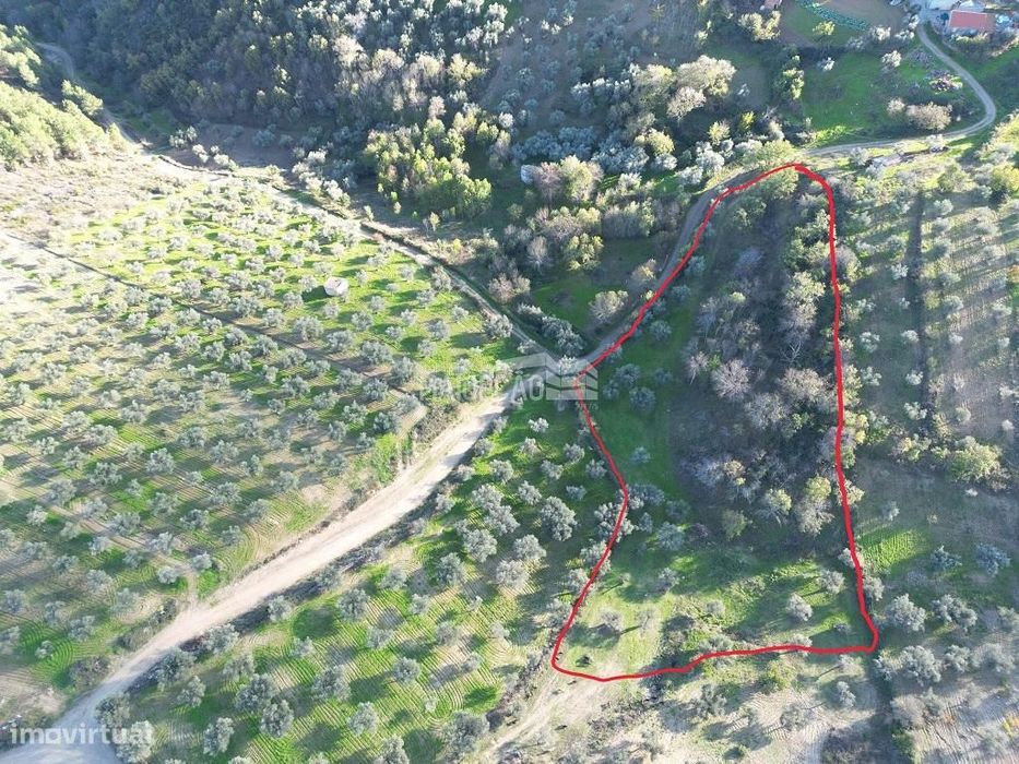 Terreno Agrícola Grijó de Parada