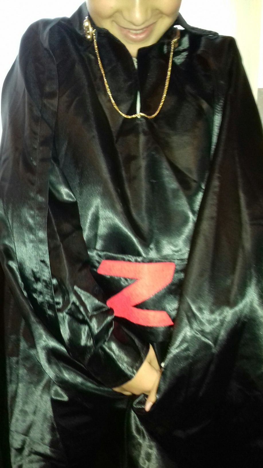 Faro de carnaval de zorro