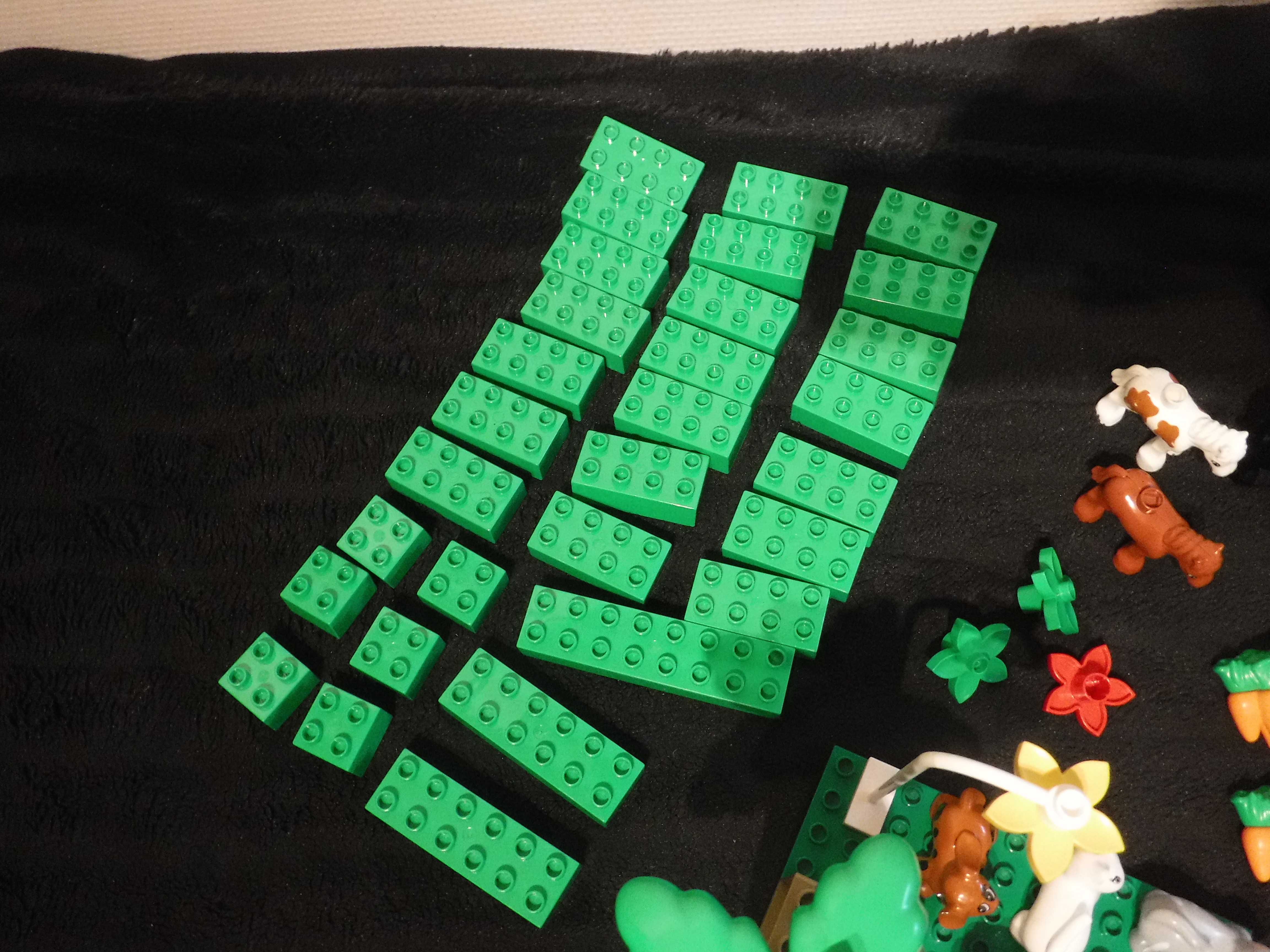 Lego Duplo ZOO 4971  z dodatkowymi klockami     <  P