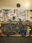 Canyon strive 2024