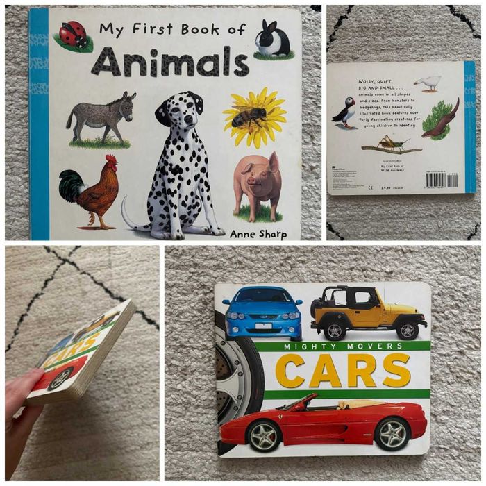 Książki po angielsku dla przedszkolaka