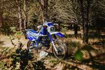 Suzuki DR  DR 600 DJEBEL