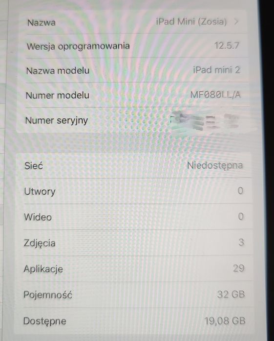 Apple iPad mini 2 32 gb ios 12.5.7 kabel ładujący etui