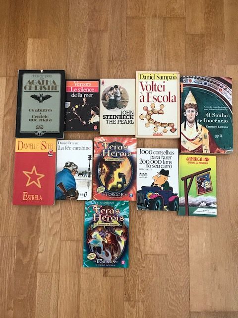 Livros diversos (5 euros todo o lote)