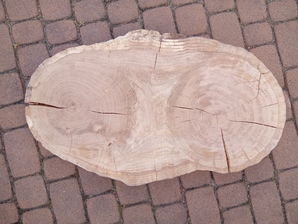 Plaster dębowy na blat / stolik kawowy
