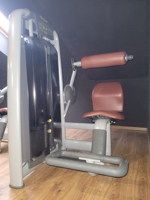 TECHNOGYM maszyna na prostowniki grzbietu