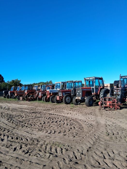 International 784 (Case) 4x4 ładny sprowadzony ze Szwecij
