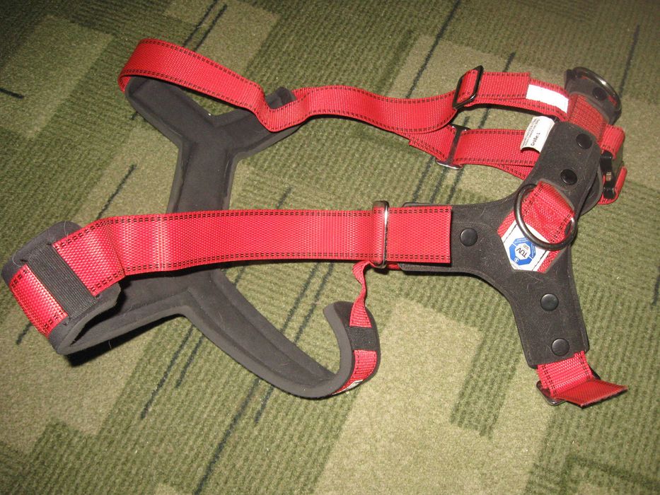 Шлейка-сбруя на дуууужжже велику собаку