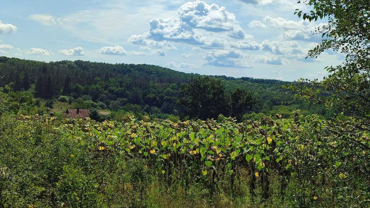 Продам будинок с. Велика Гомільша (Западня)