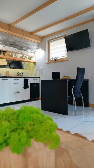 Domek z dwoma apartamentami z jacuzzi zewnętrzne k/Zakopane - Lux Hous