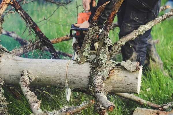 Благоусрій Спилювання дерев та розчищення ділянок Догляд за садом