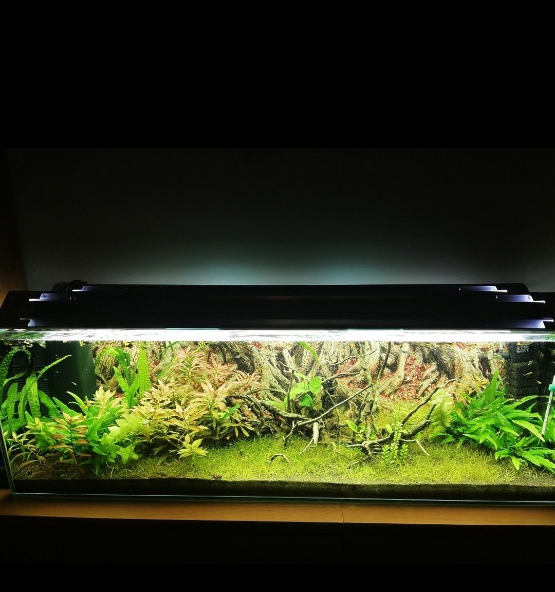 Lampa belka led do akwarium roslinne