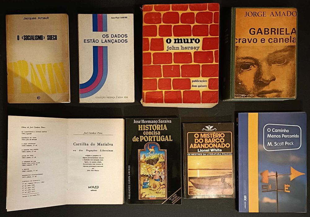 30 livros. Literatura variada. Lote 180€.