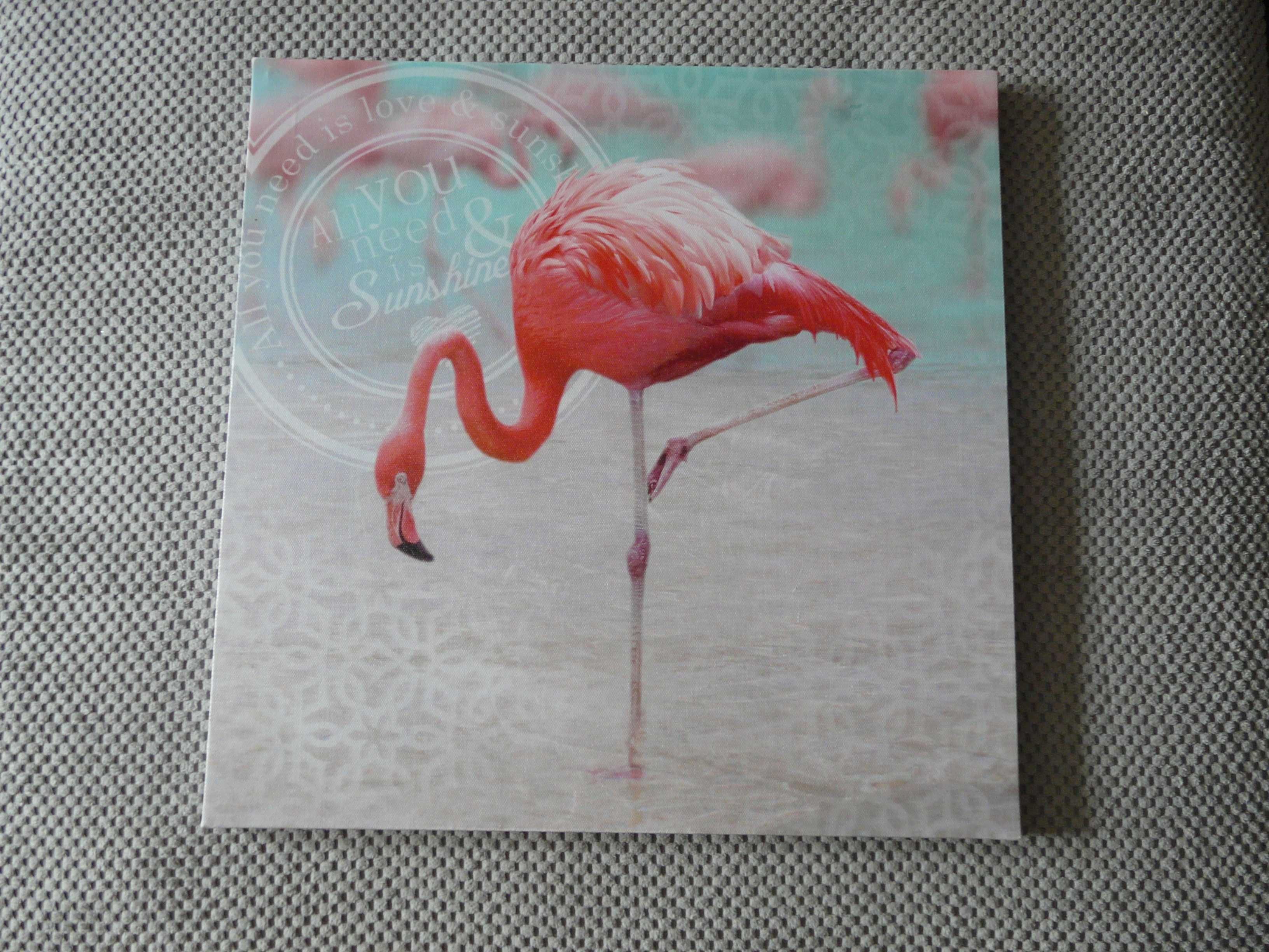 Flaming kwadratowy obraz fotodruk 39,5x39,5cm All you need is love &..