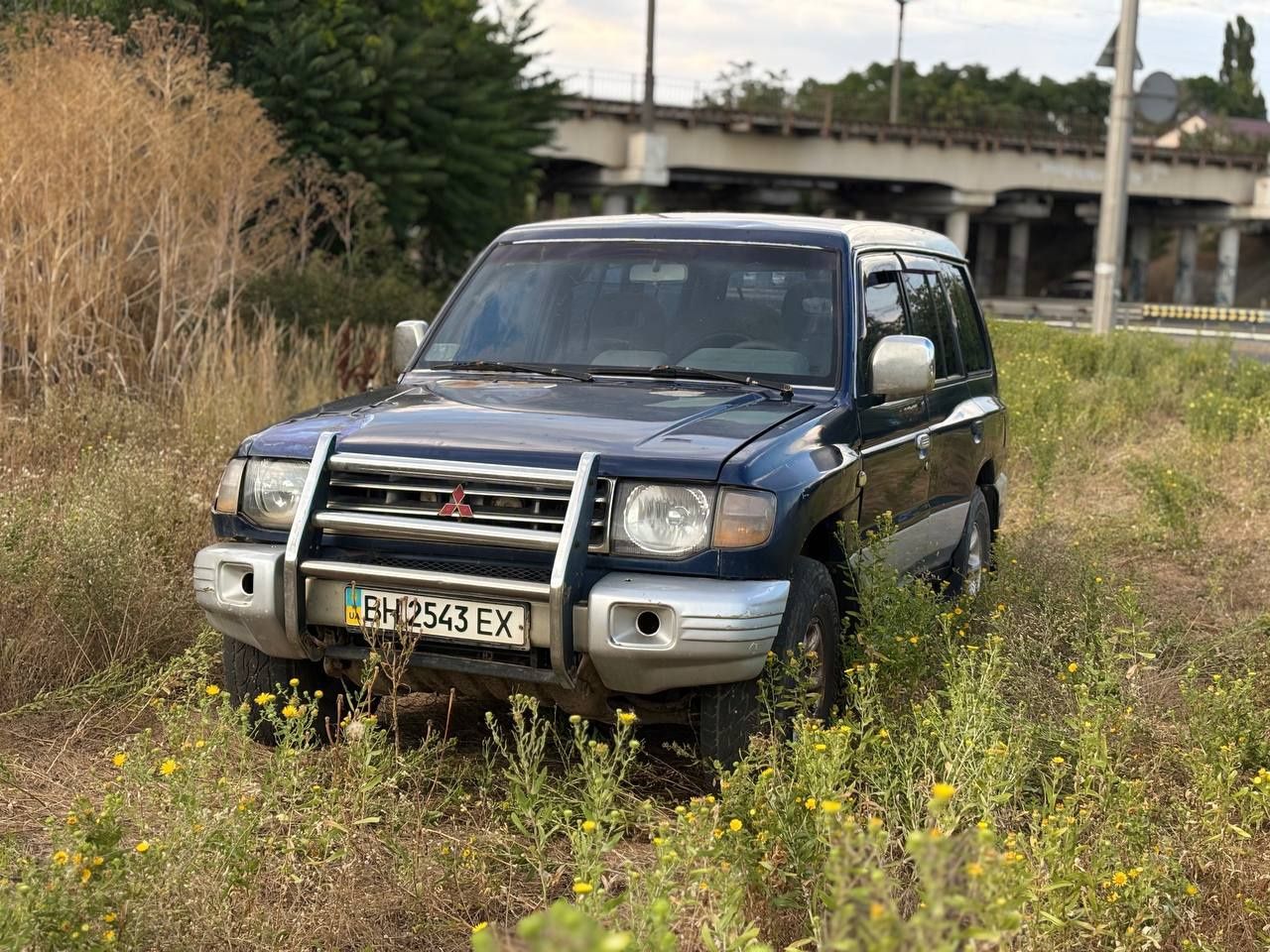 Mitsubishi Pajero Wagon 2