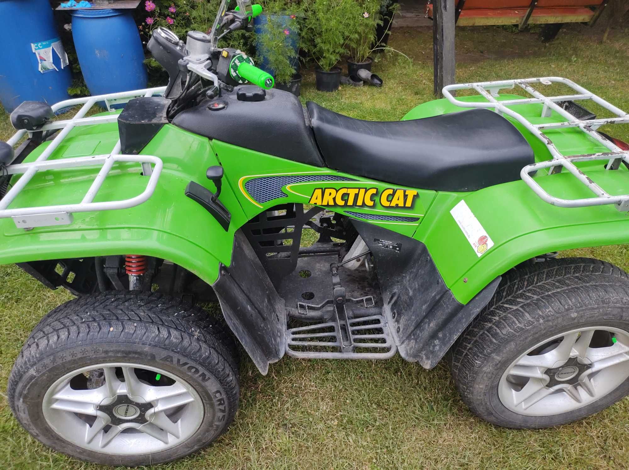 Arctic  cat   250