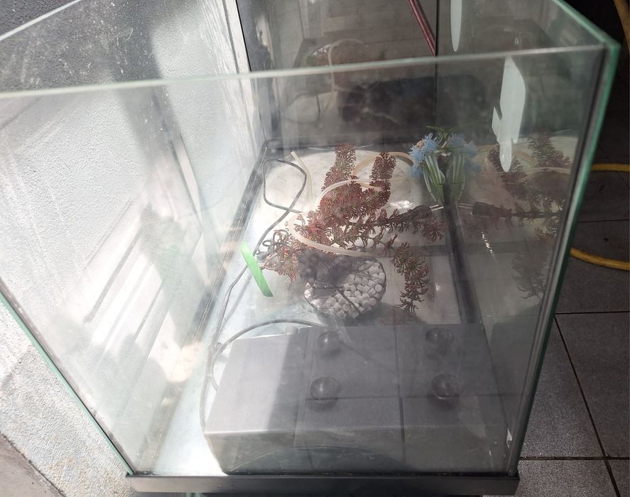 Aquário para peixes