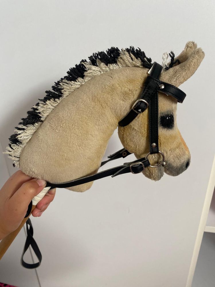 Hobby horse maly