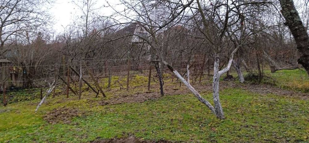 Здається Дім(дача) біля лісу та озера для житла і вдаленої роботи