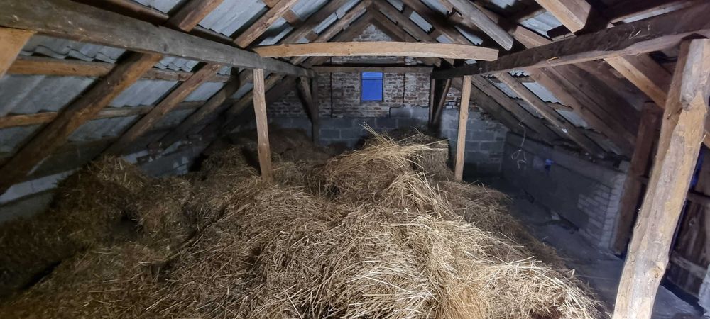 Słoma w małych kostkach