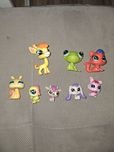 Pet shopy zwstaw