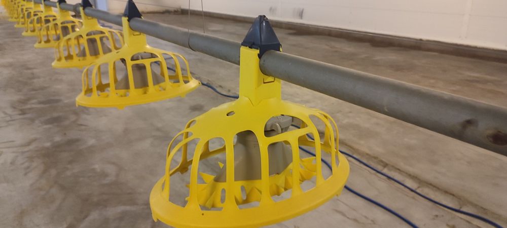 Karmidla do paszociagu zadawania paszy dla kur