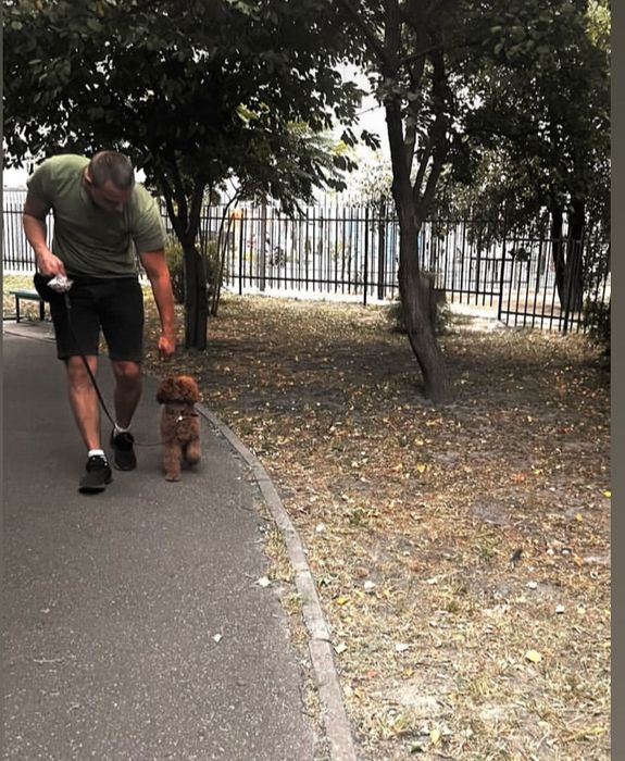 Кинолог /дрессировка собак\