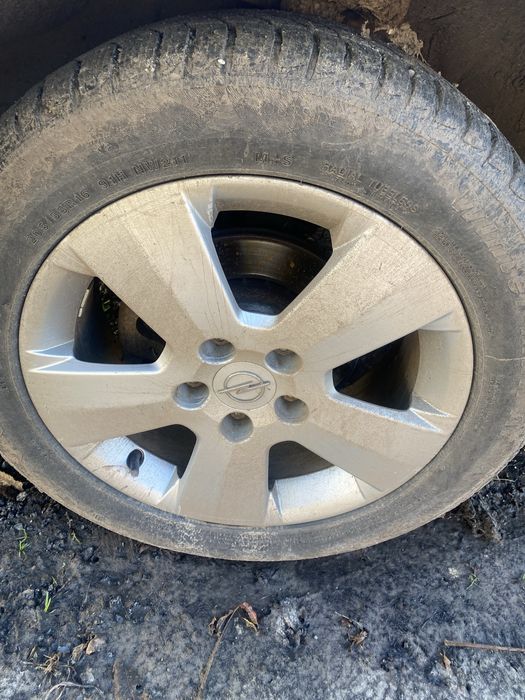 продається молода поїхали