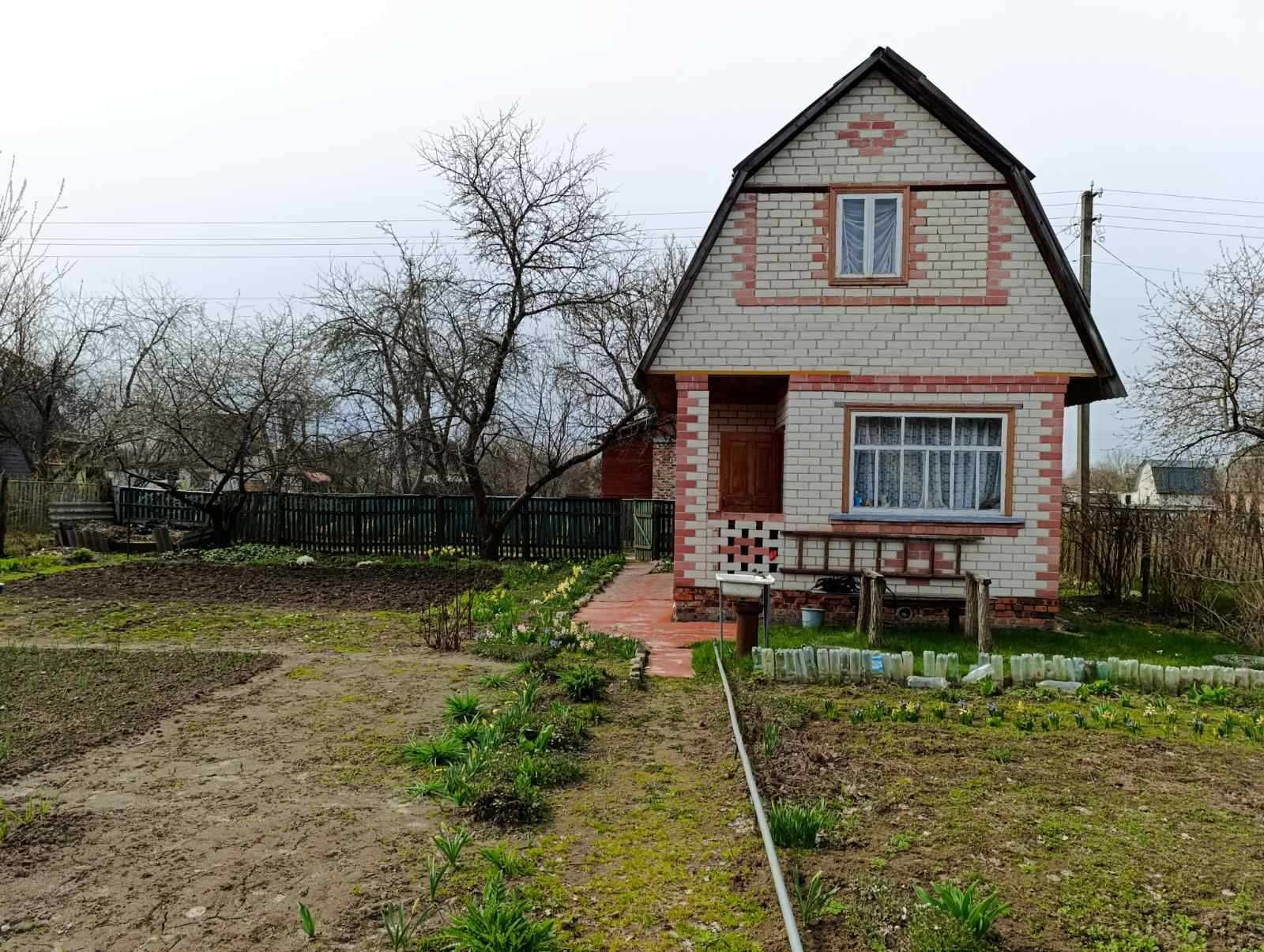 Доглянута дача з майбутнім врожаєм!!