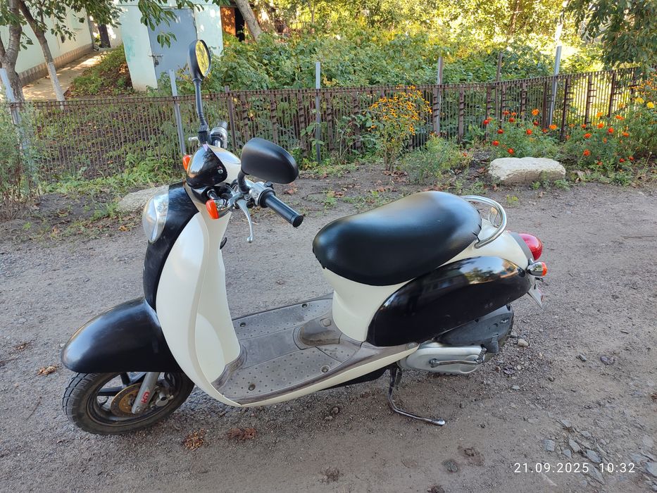 Honda scoopy af55