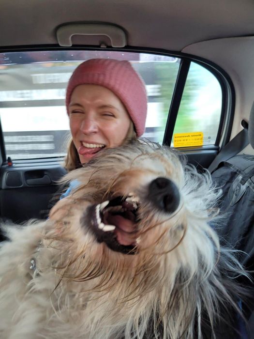 Opieka nad psem/kotem, petsitter, Warszawa, Bielany