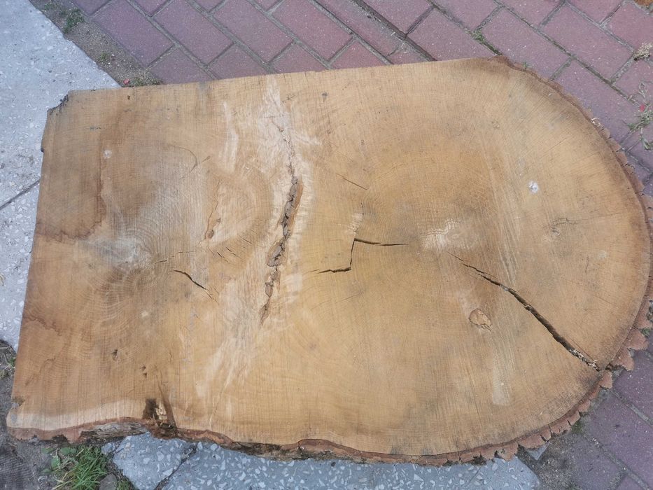 Monolit krąg dębowy grubość 10cm