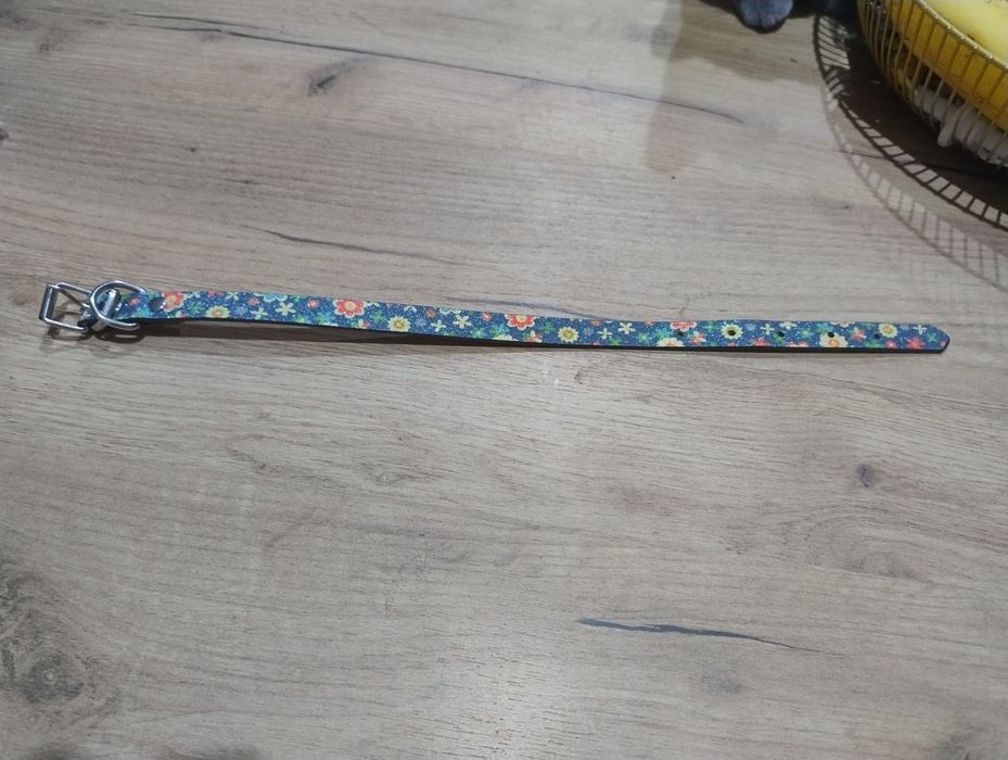 Obroża dla małego psa