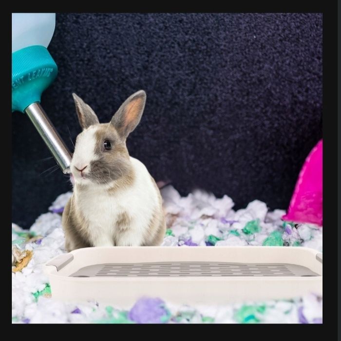 Kuweta dla królika chomika szynszyli świnek z rusztem i łopatką bunny