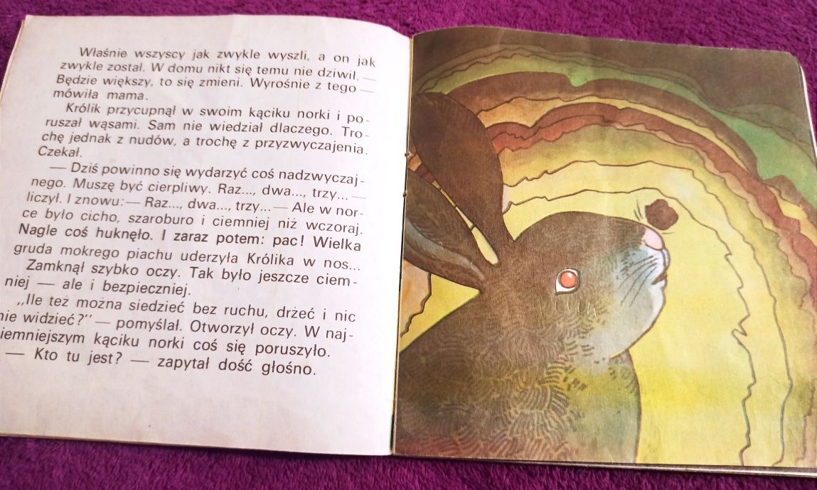 "Wszystko przez myszkę" Ada Kopcińska-Niewiadomska, 1982 r