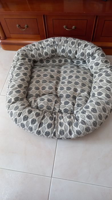 Vendo caminha para cão