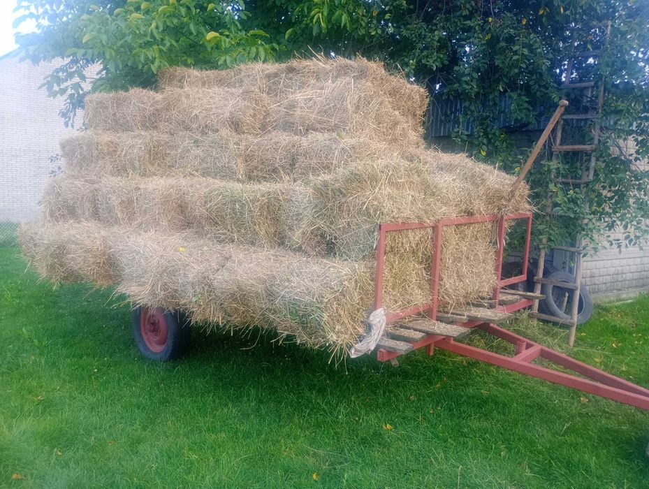 Siano Kostki Lucernia Maszyny Rolnicze Traktor Przyczepa Wywrotka Wóz