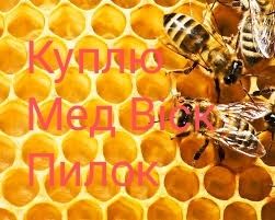 Мед Пилок Віск прийму від пасічника бджолопродукцію