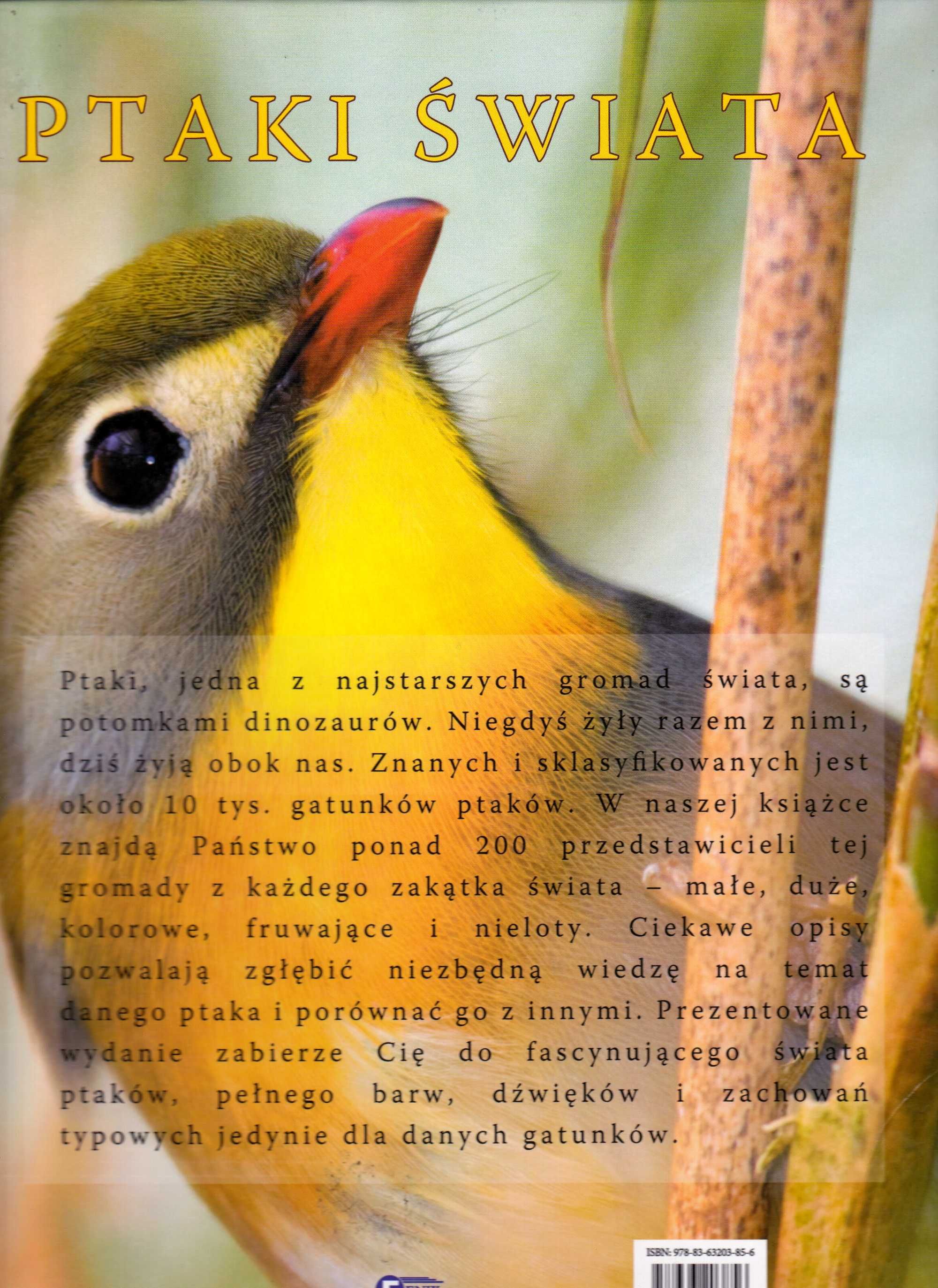 Ptaki Świata Album Ilustrowany